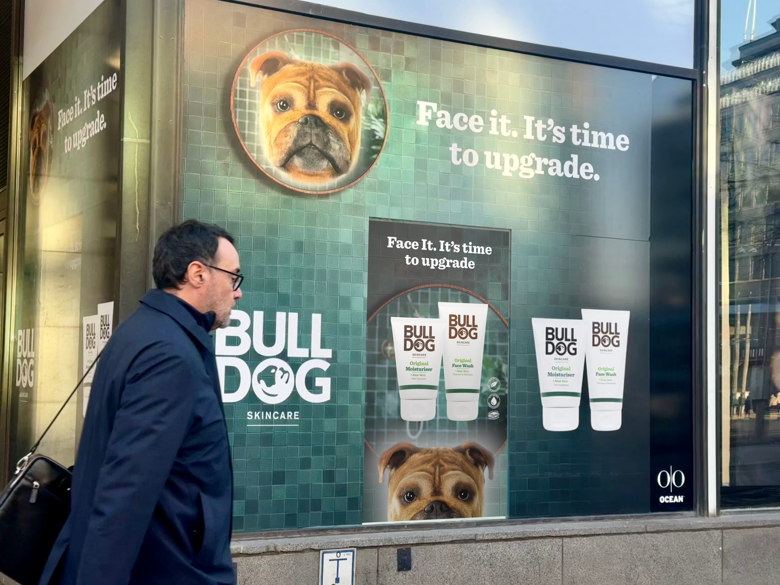 Bulldog image 5