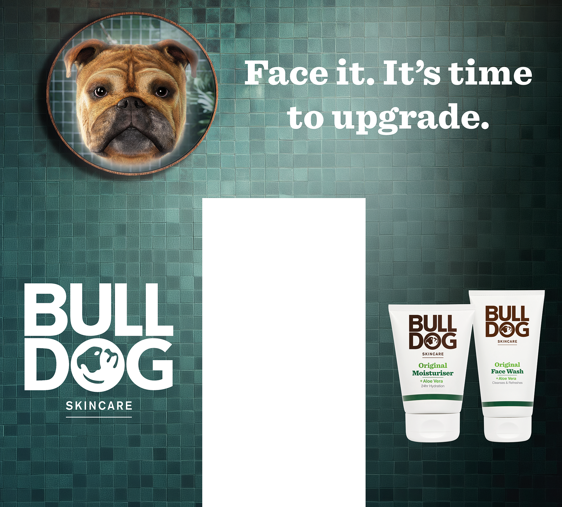 Bulldog whole area Mansku